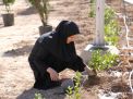 گزارش تصویری مراسم روز درخت کاری و تقدیر از نیروهای باغبانی دانشگاه